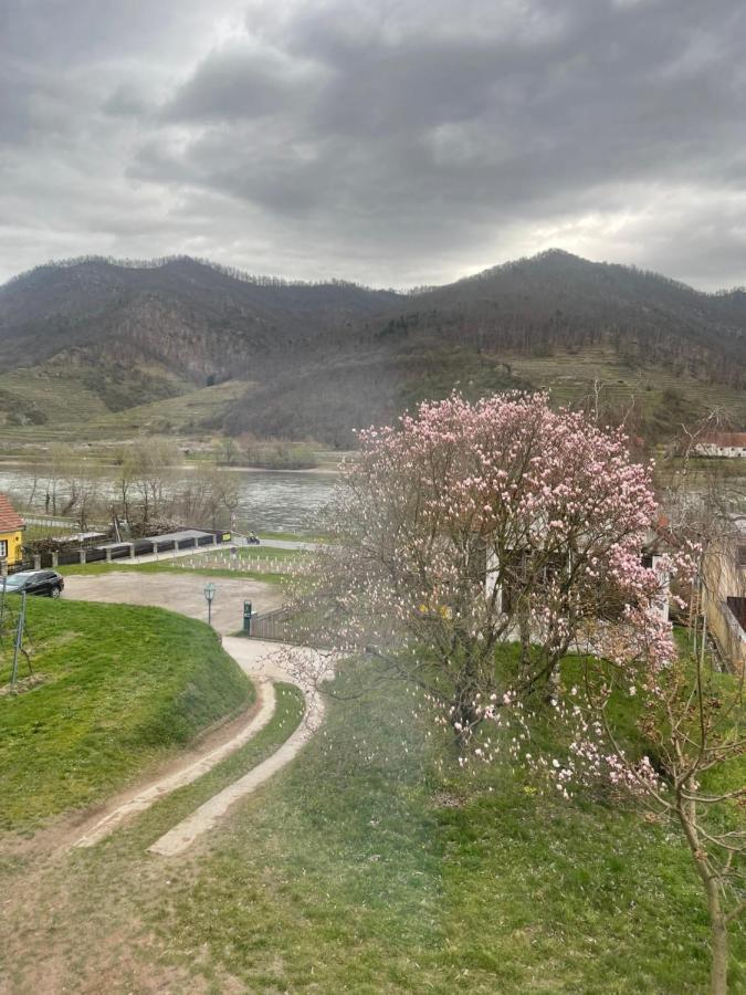 Top Ferienhaus Bei Spitz / Wachau Schwallenbach Екстер'єр фото